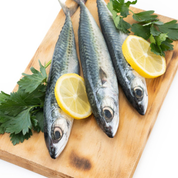 Marquerau ( 16+ ;  20+ ; 25+) 