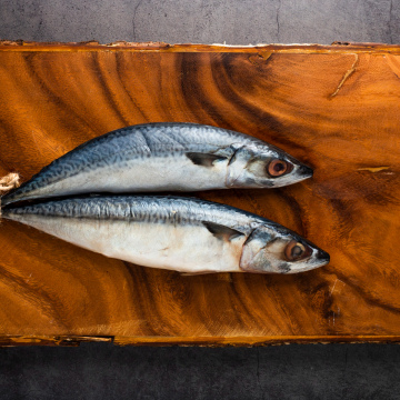 Chinchard (2s; bs; 3s; sbs)